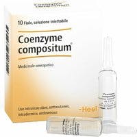 Heel Coenzyme Compositum 10 Fiale