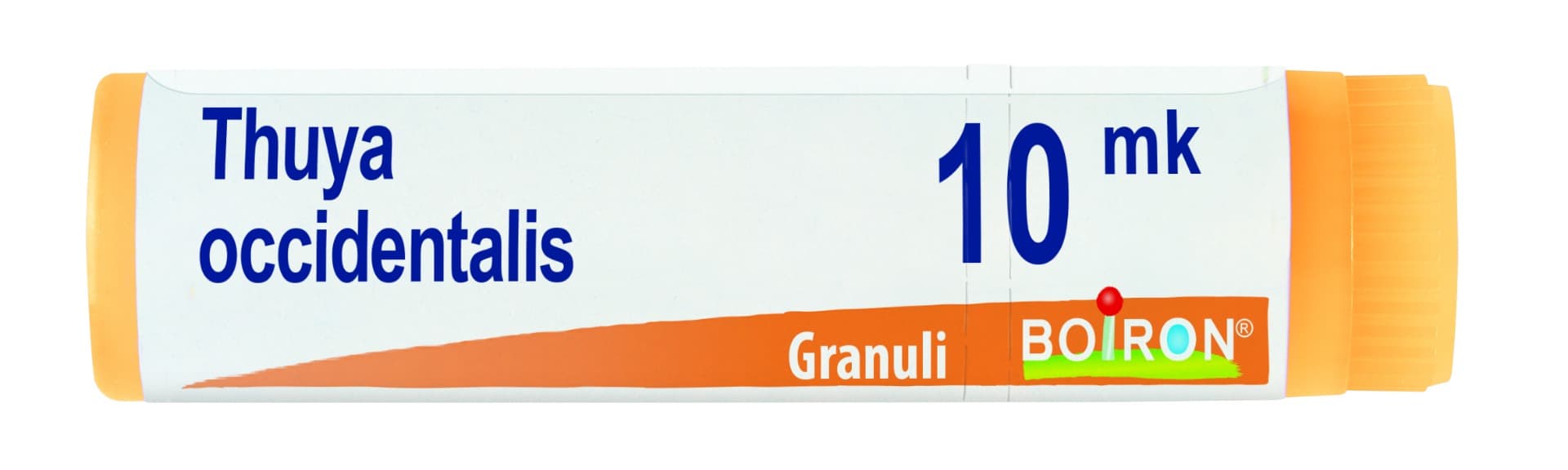 Thuya Occidentalis Xmk Globuli Monodose Boiron