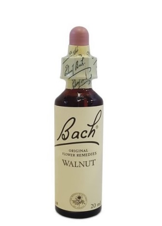 Bach Center Ess Walnut 20 ml