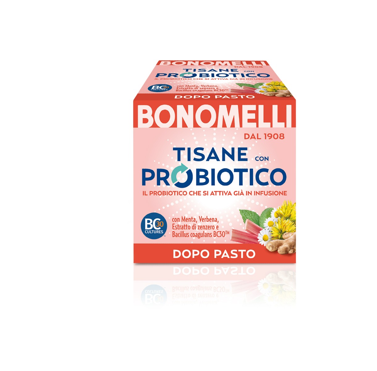 Tisana Con Probiotico Dopo Pasto 10 Filtri