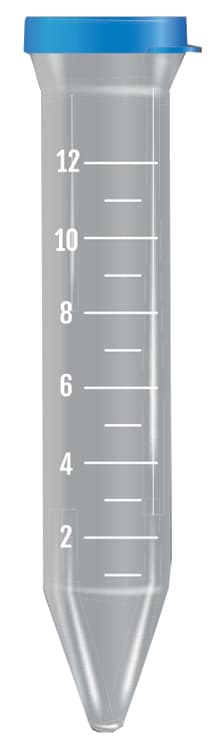 PROVETTA UR CONICA PP STER 12M F