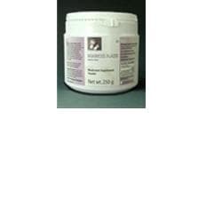 Agaricus blazei biomass mrl polvere