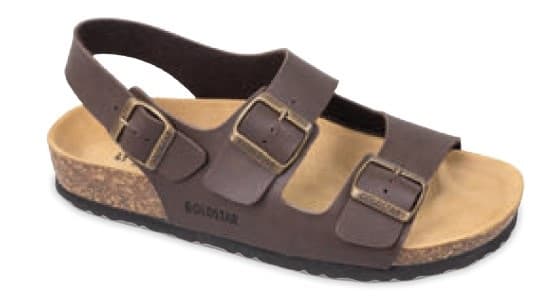 GOLD STAR PREMIER MAR 42 9910