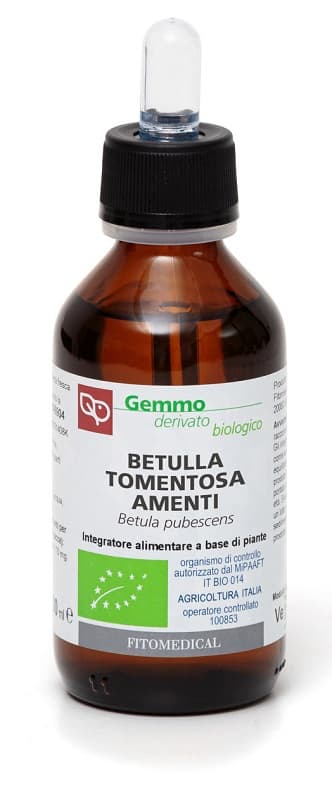 BETULLA TOMENTOSA AMENTI MACERATO GLICERINATO BIO 100 ML