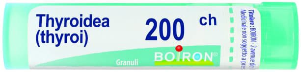 Thyroidinum 200ch gr