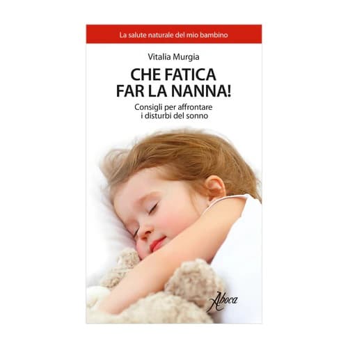 CHE FATICA FAR LA NANNA LIBRO