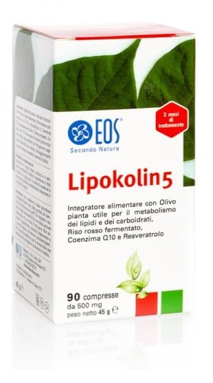 LIPOKOLIN 5 90CPR 500MG