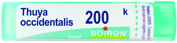 BO.THUYA OCCIDENT 200K GR
