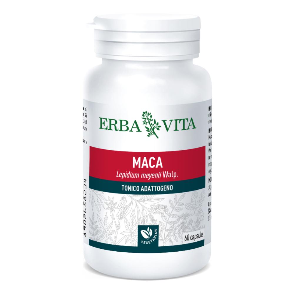 MACA 60CPS 400MG   EBV