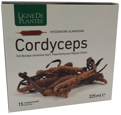 CORDYCEPS 15AB 15ML