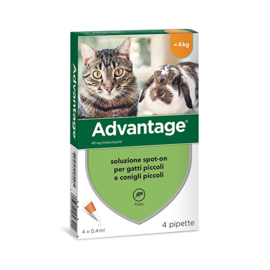 Advantage 40 mg Soluzione Antiparassitaria Spot-On Gatti e Conigli Piccoli 4 Pipette