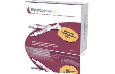 Epato plus pasta sir 10x15ml