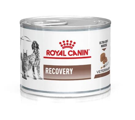 Royal Canin Recovery Cibo umido per la convalescenza di cani e gatti 195 g