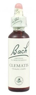 Clematis Bach Orig 10ml