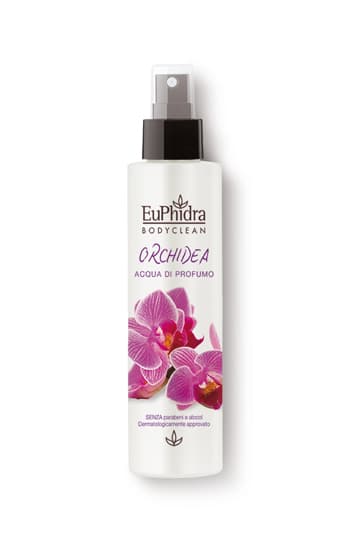 EUPHIDRA FLOR ACQ PROF ORCHID