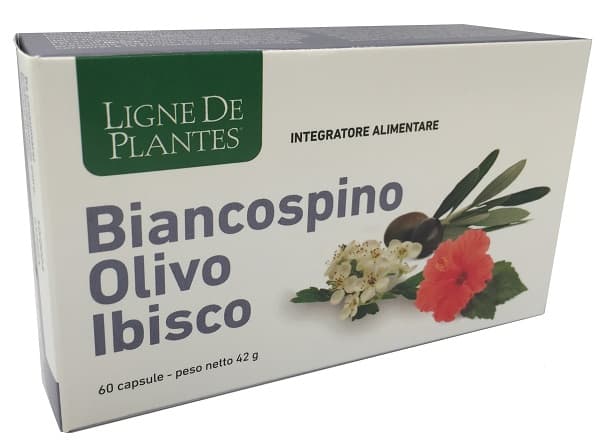 BIANCOSPINO OLIVO IBISCO 60 CAPSULE