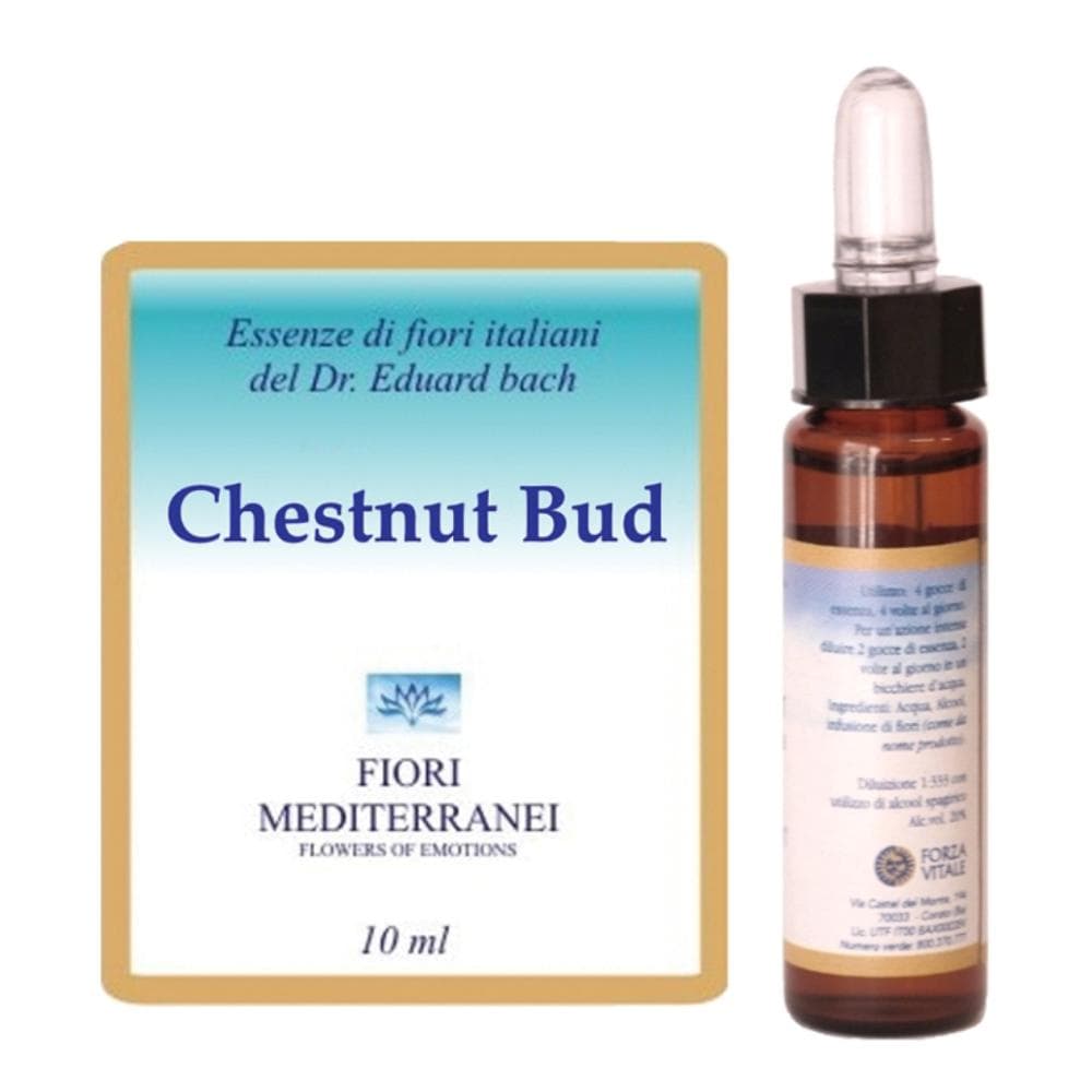 Chestnut bud fiori mediter gocce
