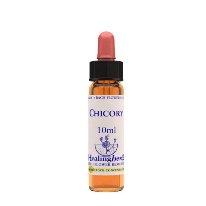 CHICORY ESS 10ML INGL HERBS