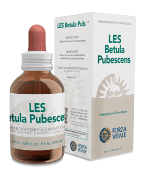 Les Betula Pubescens 50 ml