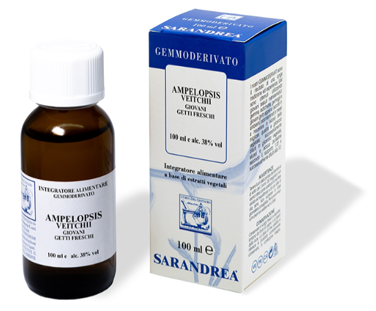 Ampelopsis Weitchii Mg 100Ml