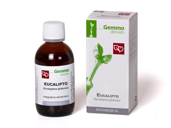 Eucalipto 50 ml Mg