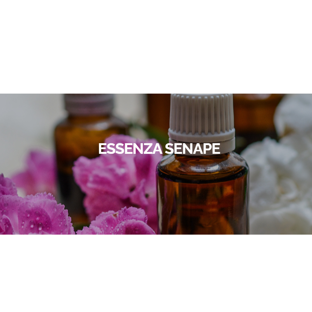 Senape Ess 100g