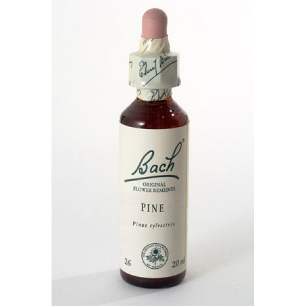 Schwabe Fiori di Bach 24 Pine Gocce 20 ml