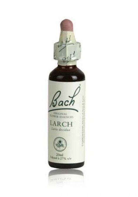 Schwabe Fiori di Bach Larch 19 Gocce 20 ml