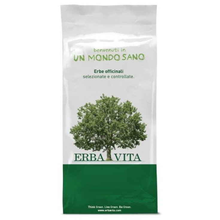 CODA CAVALLINA EQUISETO TT100G