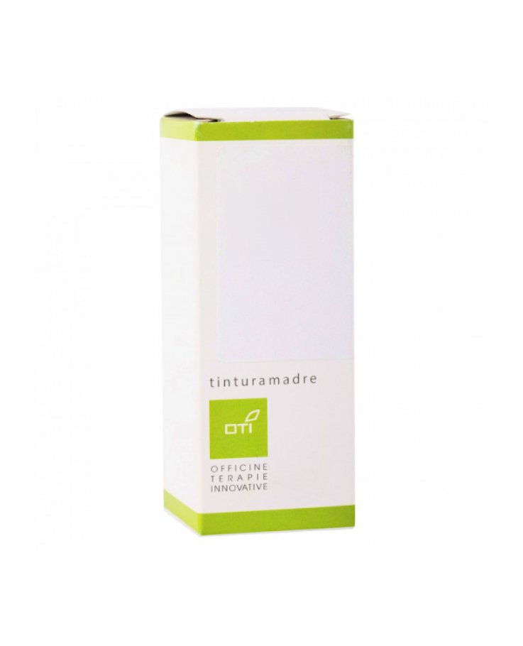 DIOSCOREA VILLOSA TM GTT 100ML