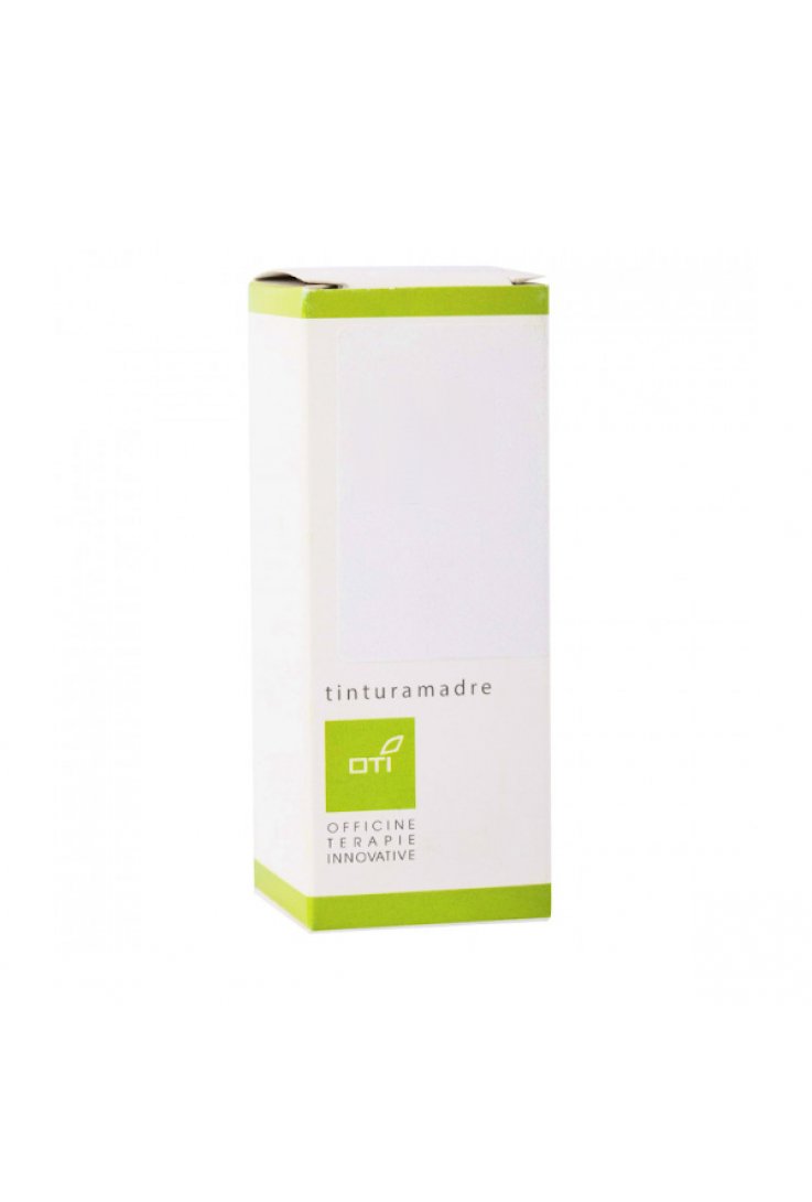 SAMBUCO TINTURA MADRE GTT100ML