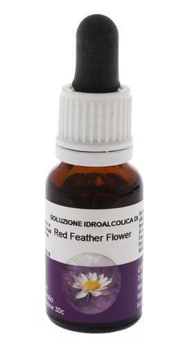 Red Feather Flower 15Ml Aust