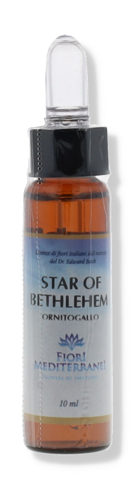 Star Of Bethlehem Fiori Medite