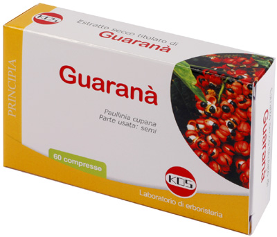 GUARANA E.S. 60CPR 300MG KOS