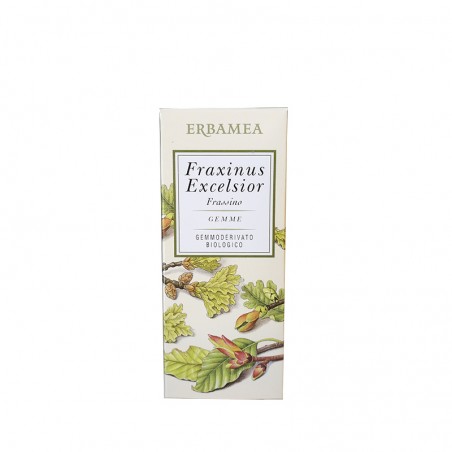 FRAXINUS EXCELS GEMME GEMMODER