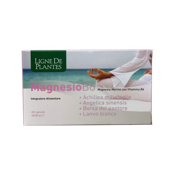 Ligne Mg B6+achil+ang+past+lam