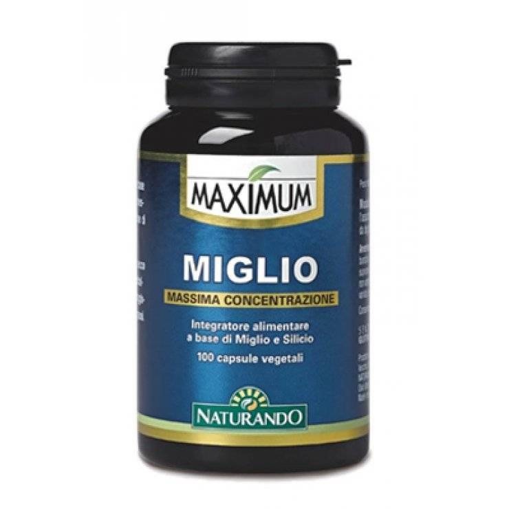 Maximum Miglio 100Cps