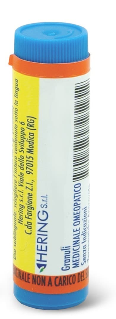 HISTAMINUM*15CH 80GR 4G