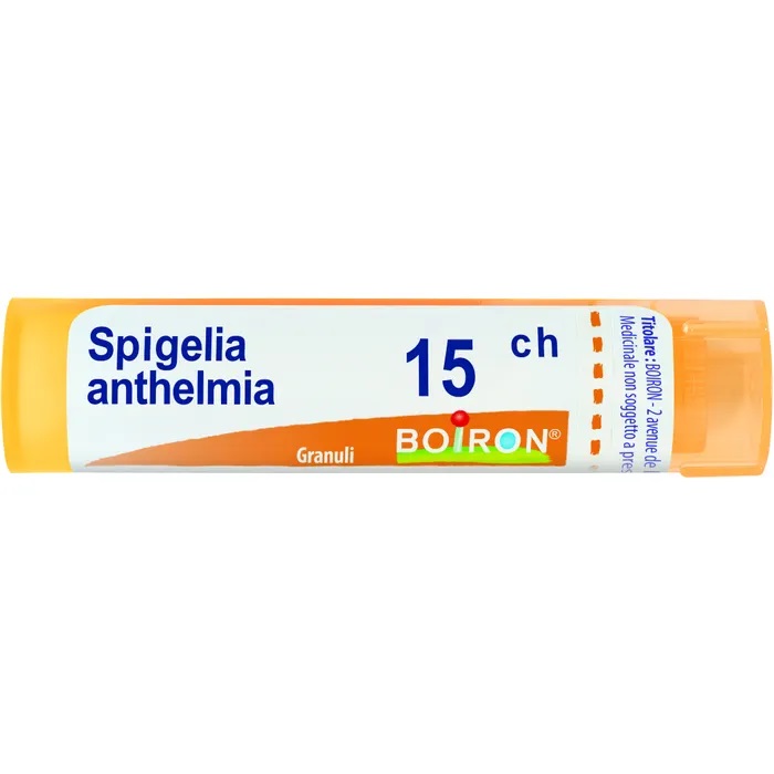 SPIGELIA ANTHELMIA*15CH 80GR4G
