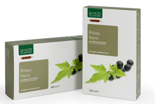 RIBES NERO BIO 20AB 15ML
