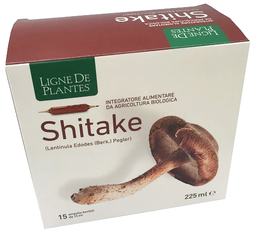 LIGNE SHITAKE BIO 15AMP 15ML