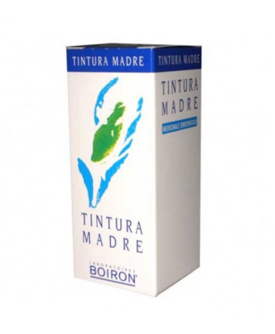 Cemon Rosmarinus Officinalis Tintura Madre 30 ml