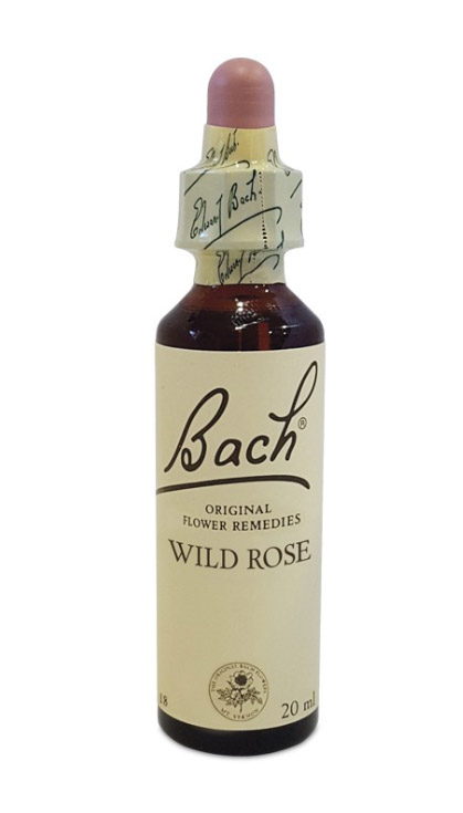 Bach Center Ess Wild Rose 20Ml