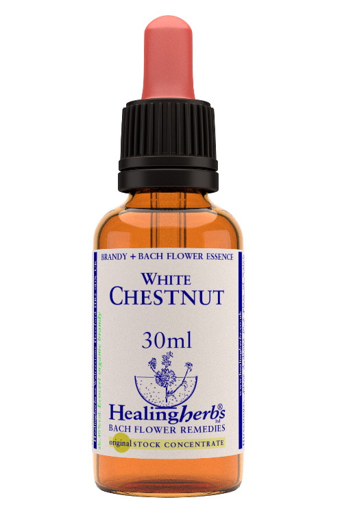 White Chest Essenza 30Ml