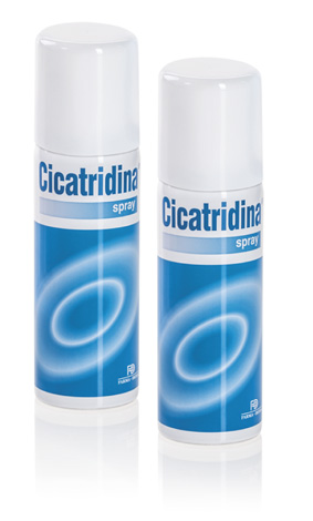 Cicatridina Spray Coadiuvante Ferite 125 ml