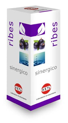 RIBES SINERGICO GTT 100ML
