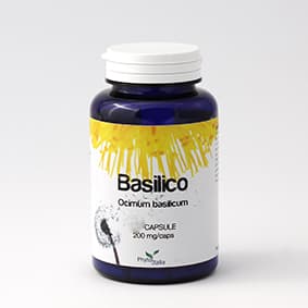 Basilico 60Cps
