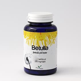 Betulla 60Cps