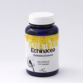ECHINACEA 60CPS