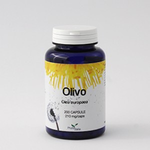 Olivo 60Cps